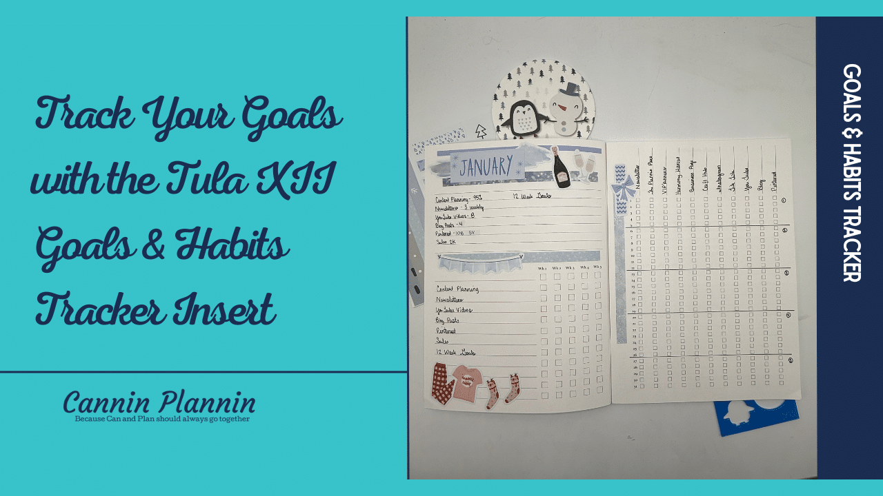 Track Your Goals with the Tula XII Goals & Habits Tracker Insert